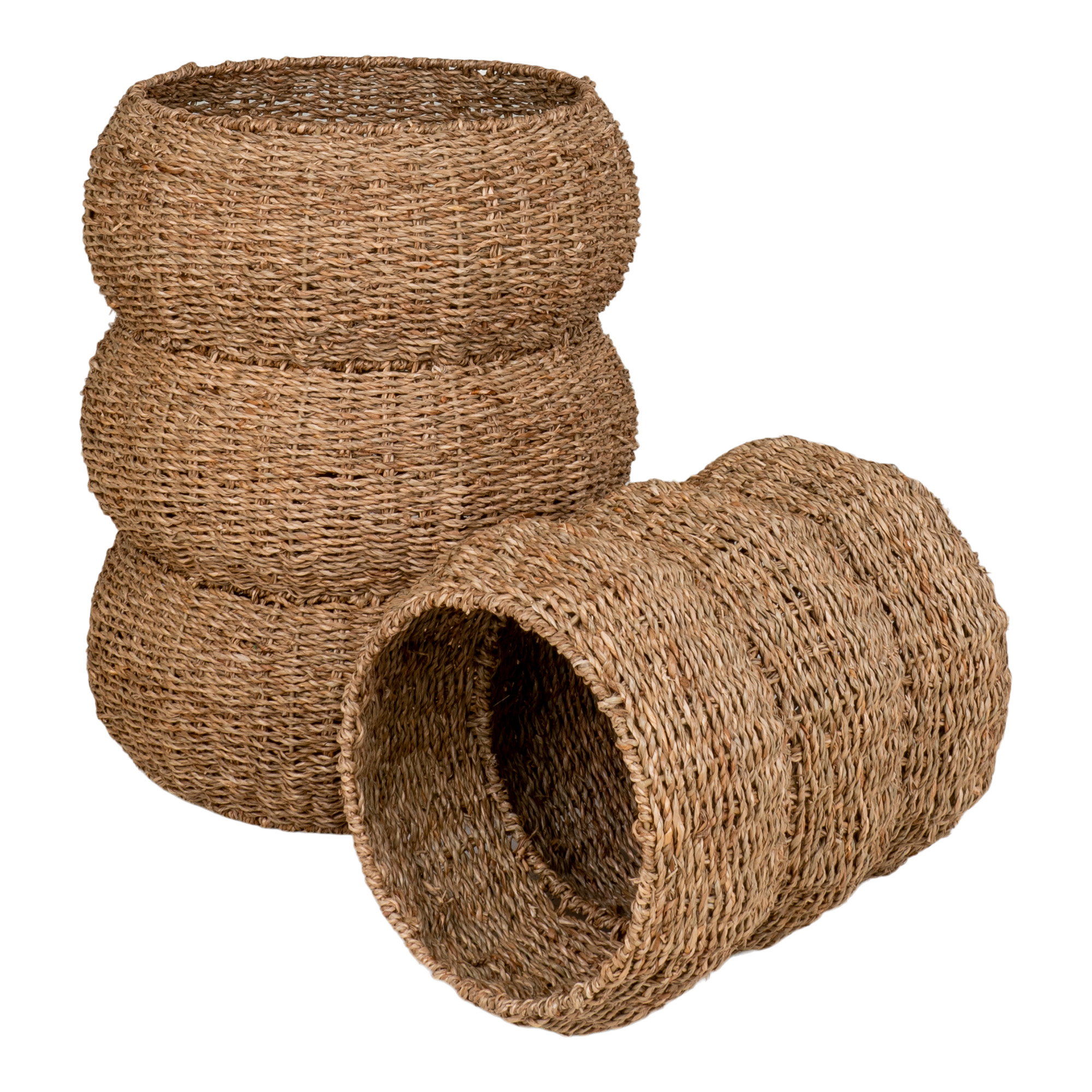 Sarbas Kurve, søgræs, natur, sæt af 2 - Billede 3