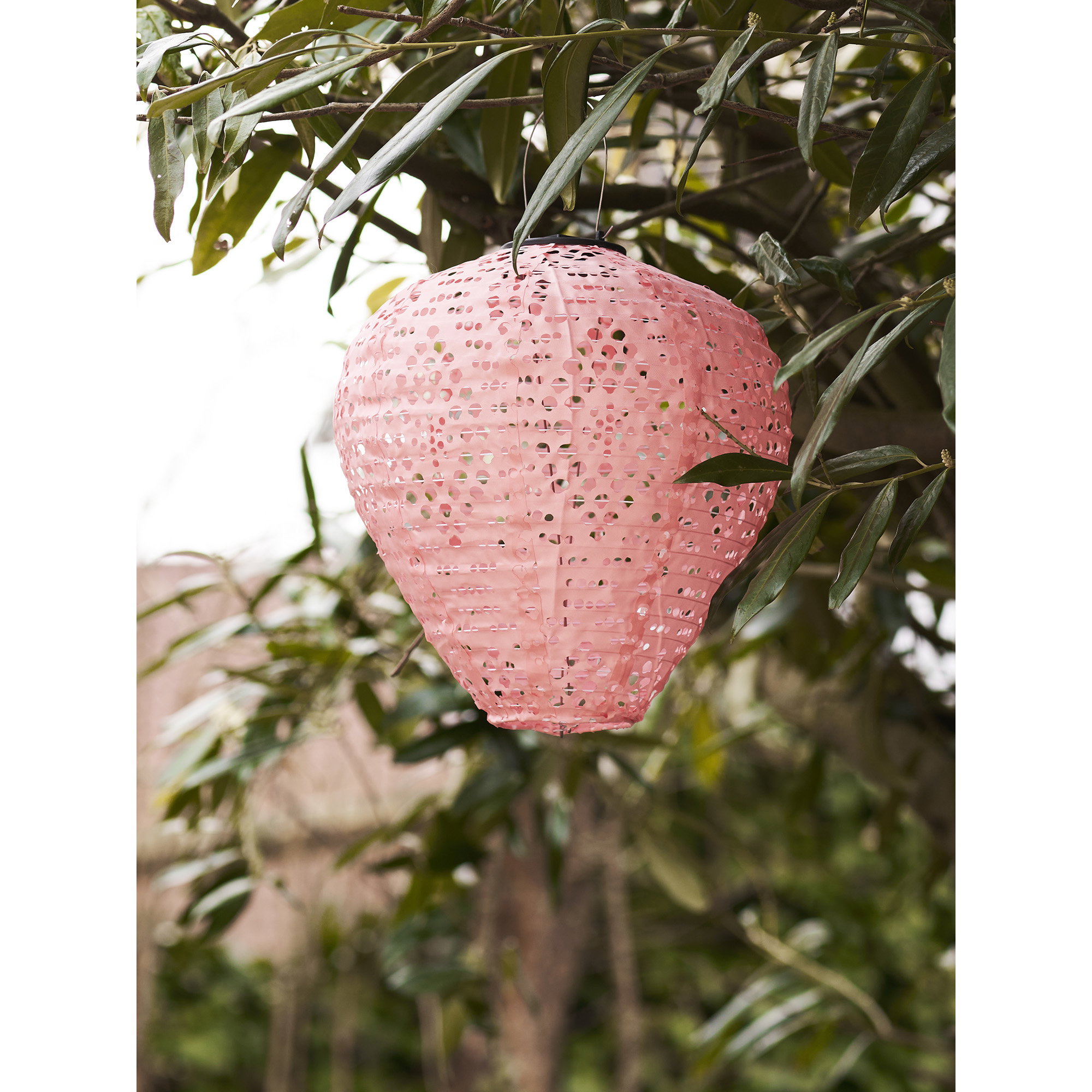 Greatham LED Lanterne, genopladelig med integreret solcelle, rose - Billede 3