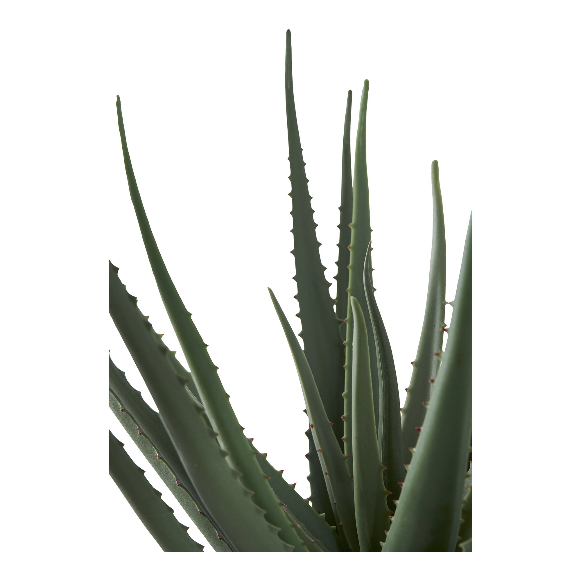 Aloe Vera, kunstig plante, grøn, H:51 cm - Billede 3