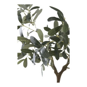 Alternative view of Oliventræ, kunstig plante, grøn, H:61 cm
