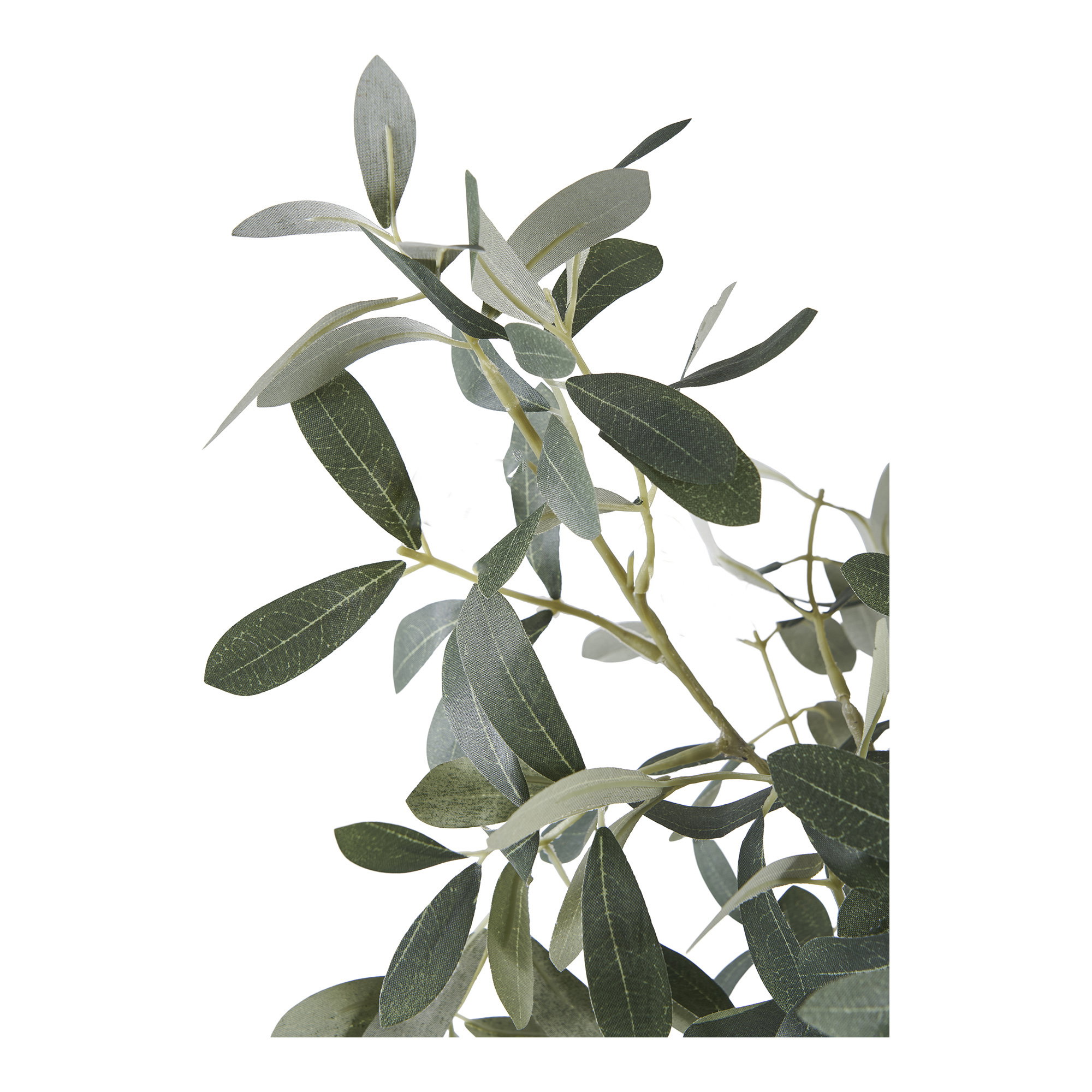 Oliventræ, kunstig plante, grøn, H:61 cm - Billede 3