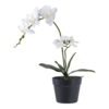 Orkidé, kunstig plante, grøn/hvid, H:49 cm