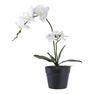 Orkidé, kunstig plante, grøn/hvid, H:49 cm