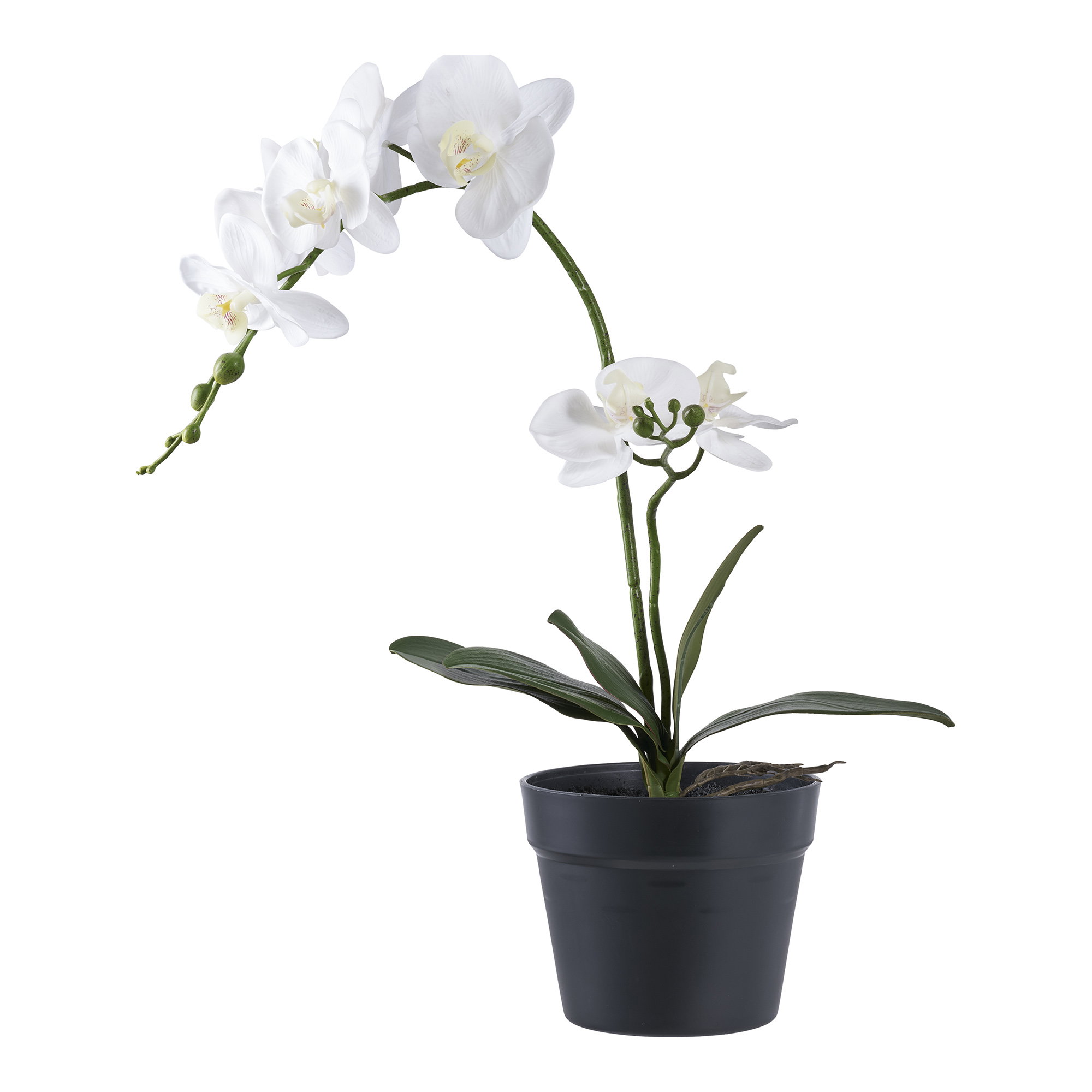 Orkidé, kunstig plante, grøn/hvid, H:49 cm