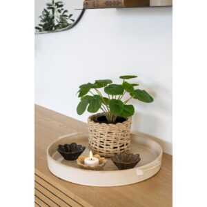 Pelia, kunstig plante, grøn, H:28 cm - Billede 3