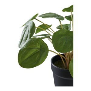 Alternative view of Pelia, kunstig plante, grøn, H:28 cm