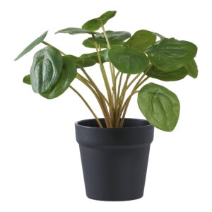 Pelia, kunstig plante, grøn, H:28 cm