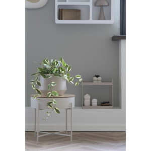 Voksblomst, kunstig plante, grøn, H:33 cm - Billede 3