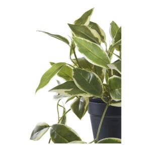 Alternative view of Voksblomst, kunstig plante, grøn, H:33 cm