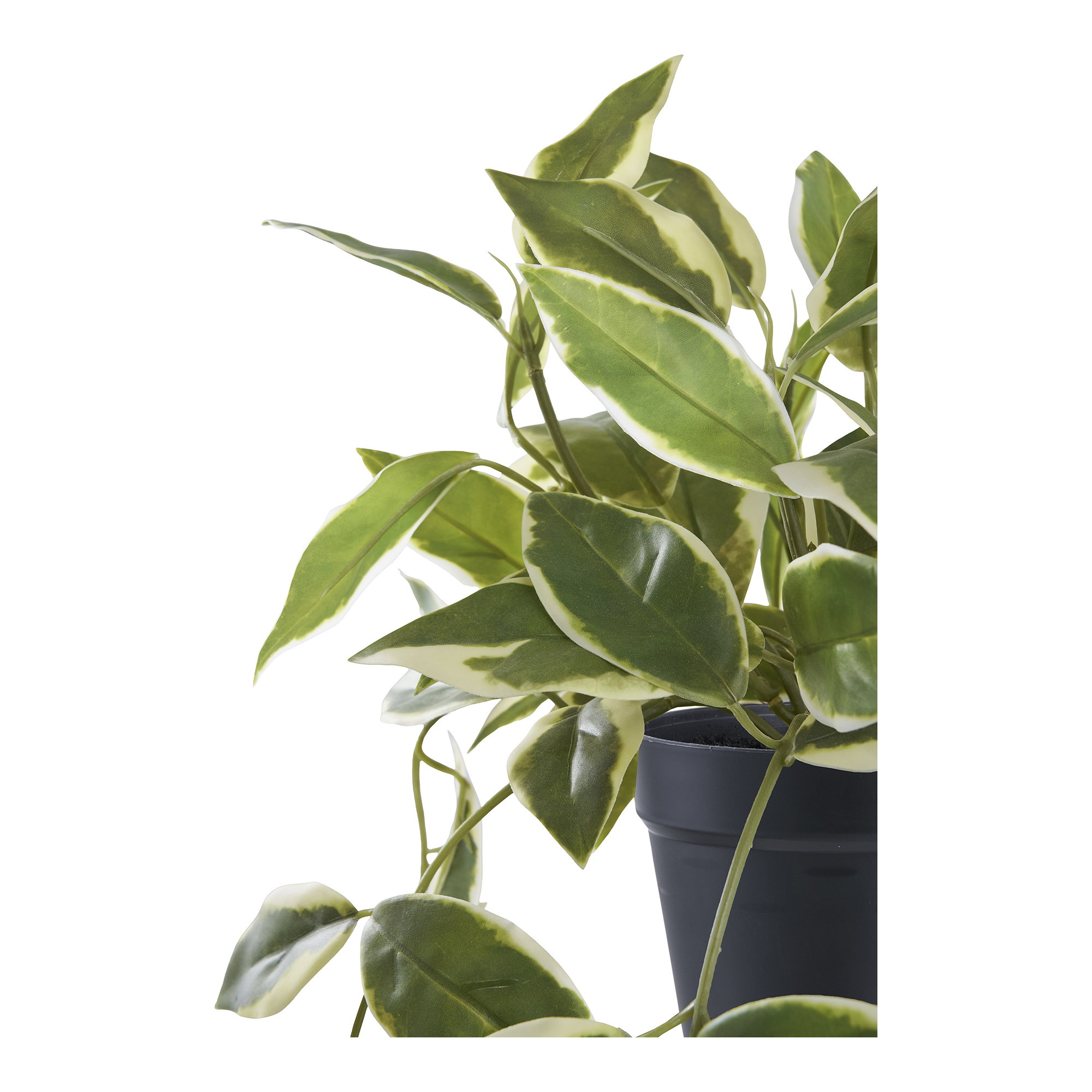 Voksblomst, kunstig plante, grøn, H:33 cm - Billede 2