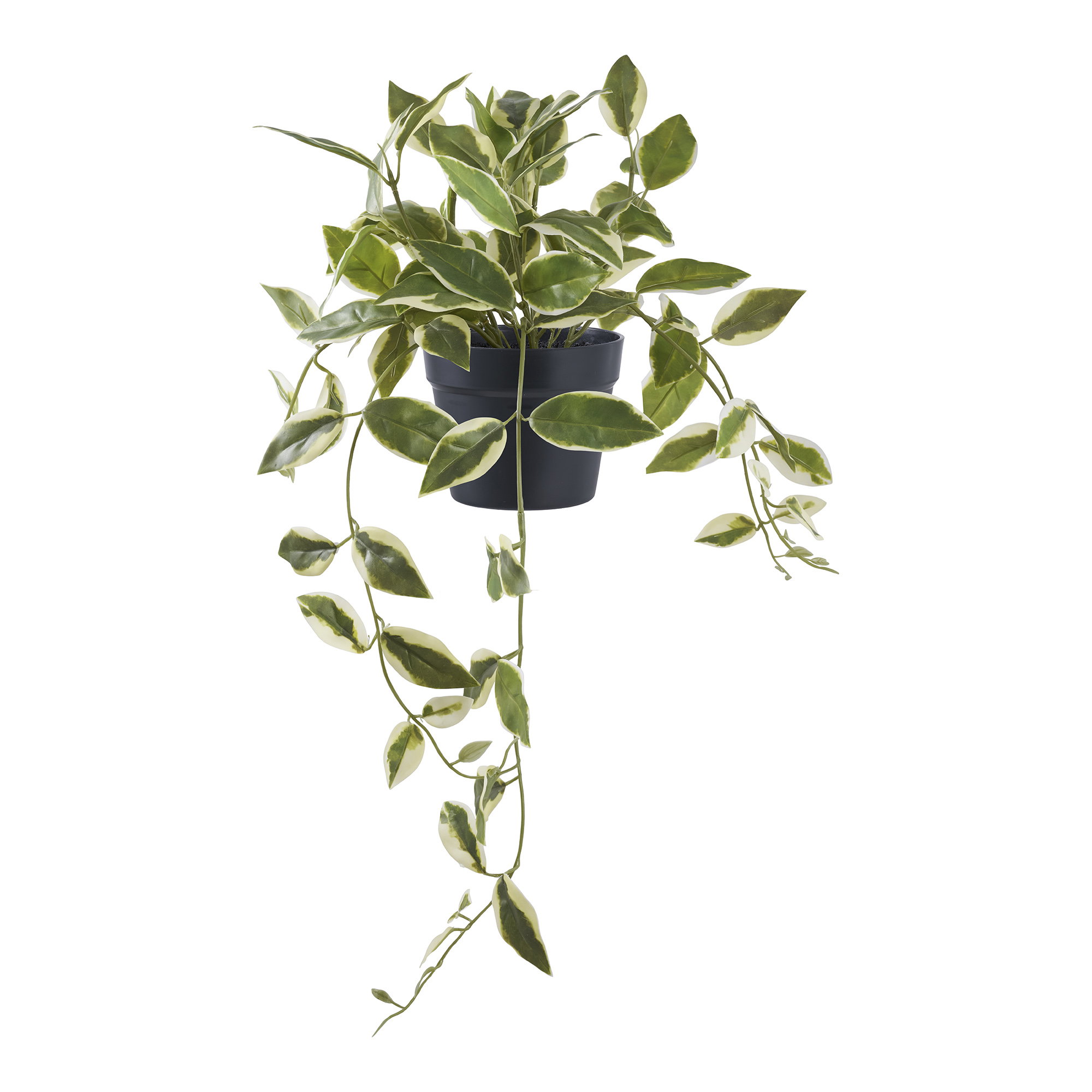 Voksblomst, kunstig plante, grøn, H:33 cm