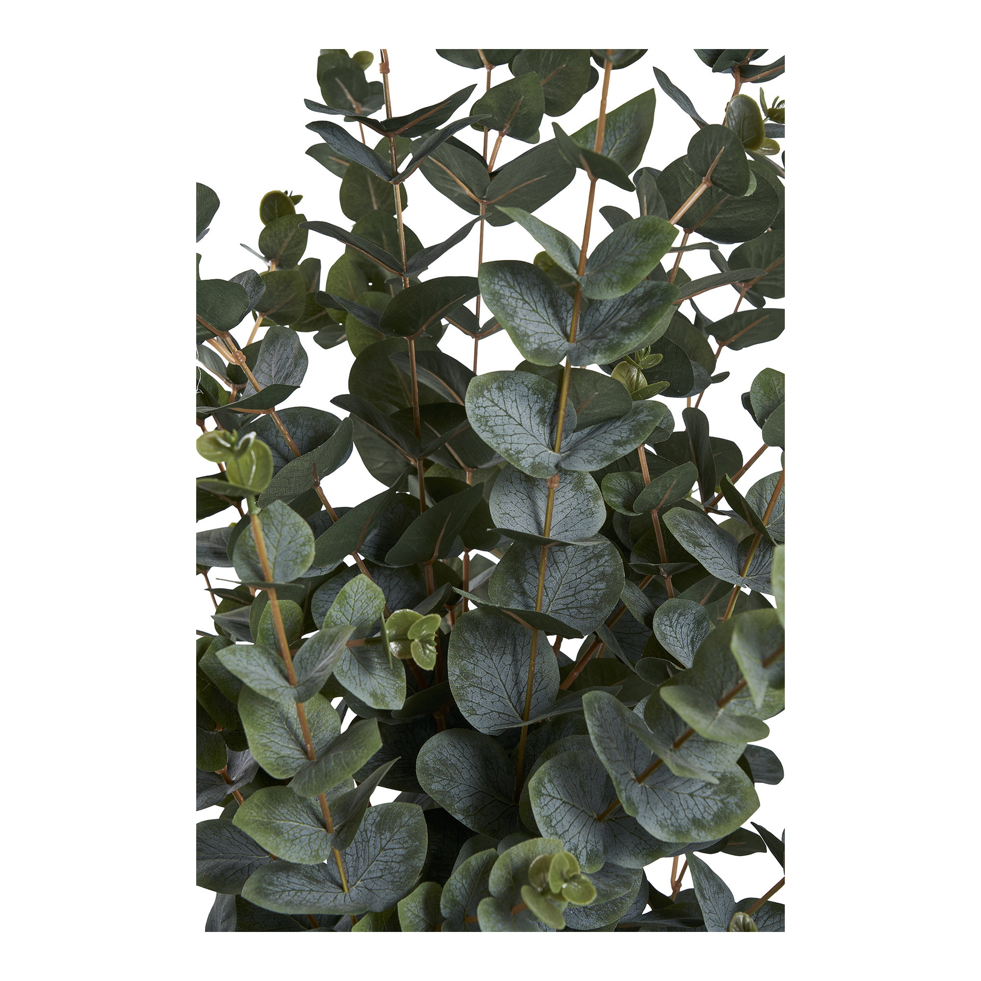 Eukalyptus Træ, kunstig plante, grøn, H:120 cm - Billede 2