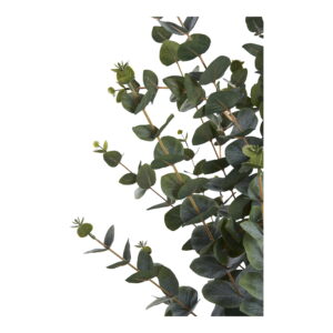 Eukalyptus Træ, kunstig plante, grøn, H:120 cm - Billede 3