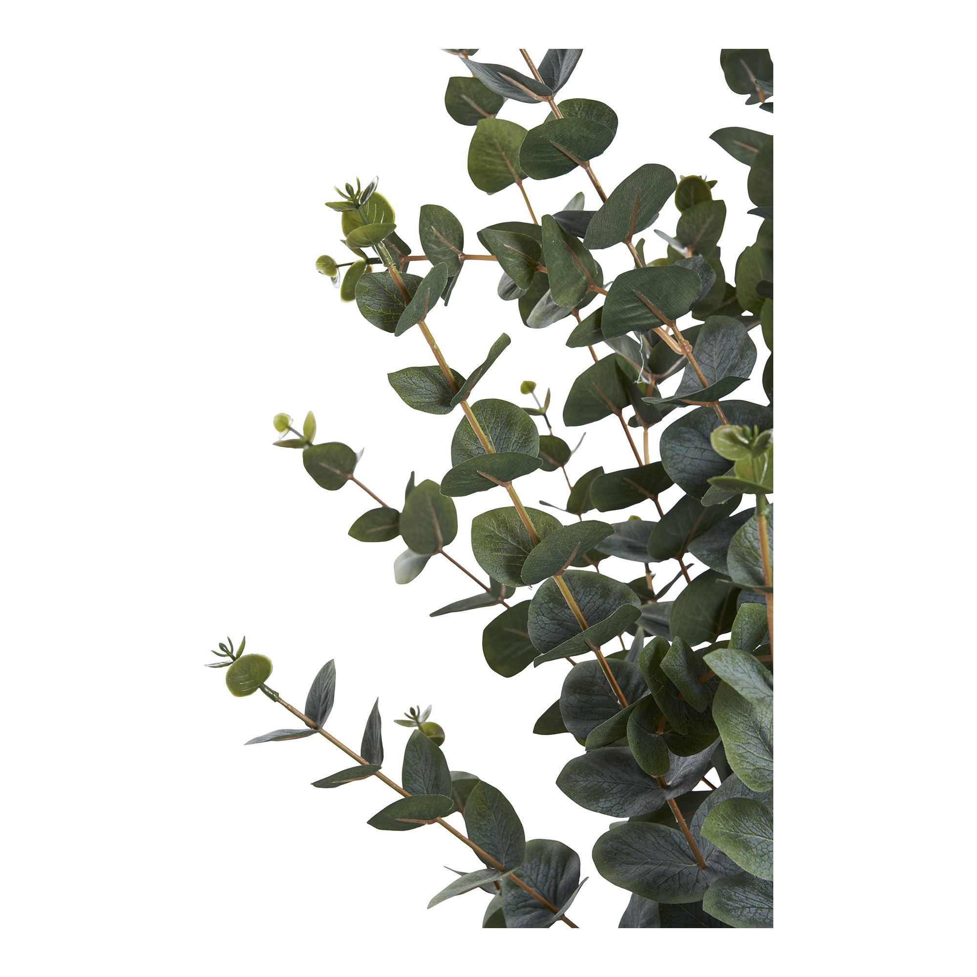Eukalyptus Træ, kunstig plante, grøn, H:120 cm - Billede 3