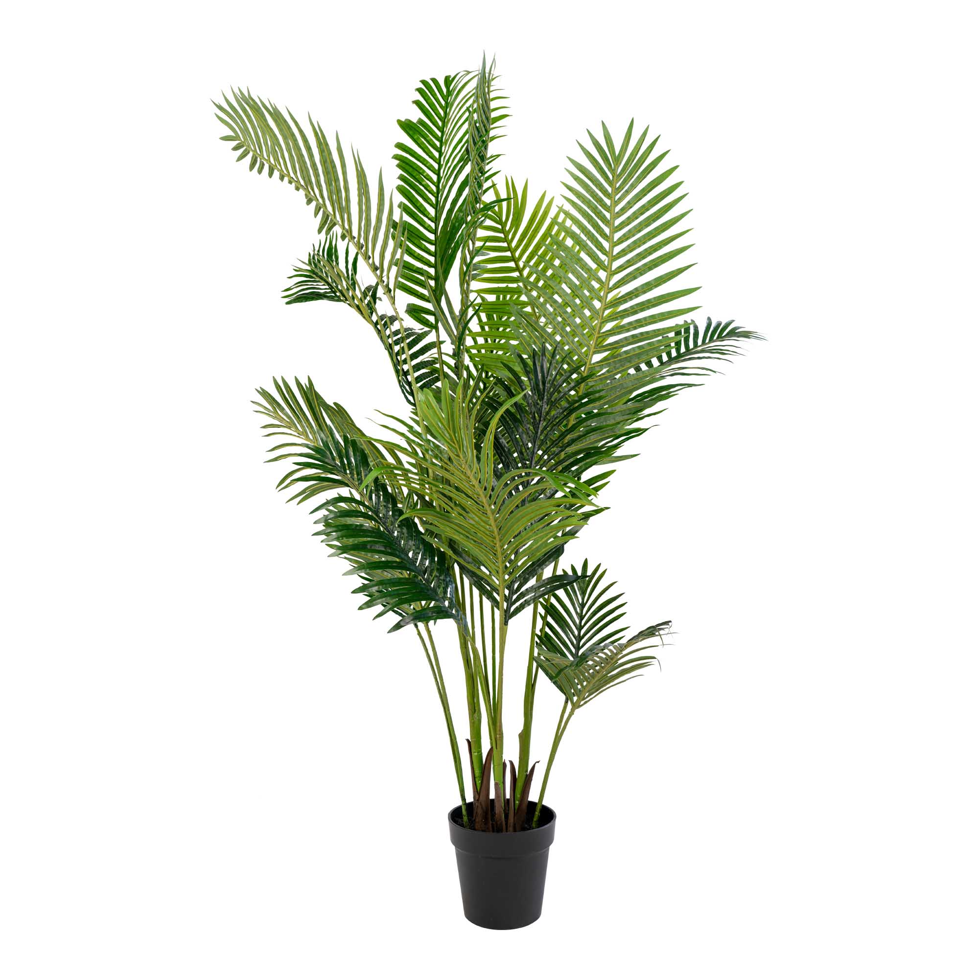 Areca Palme, kunstig palme, grøn, H:175 cm
