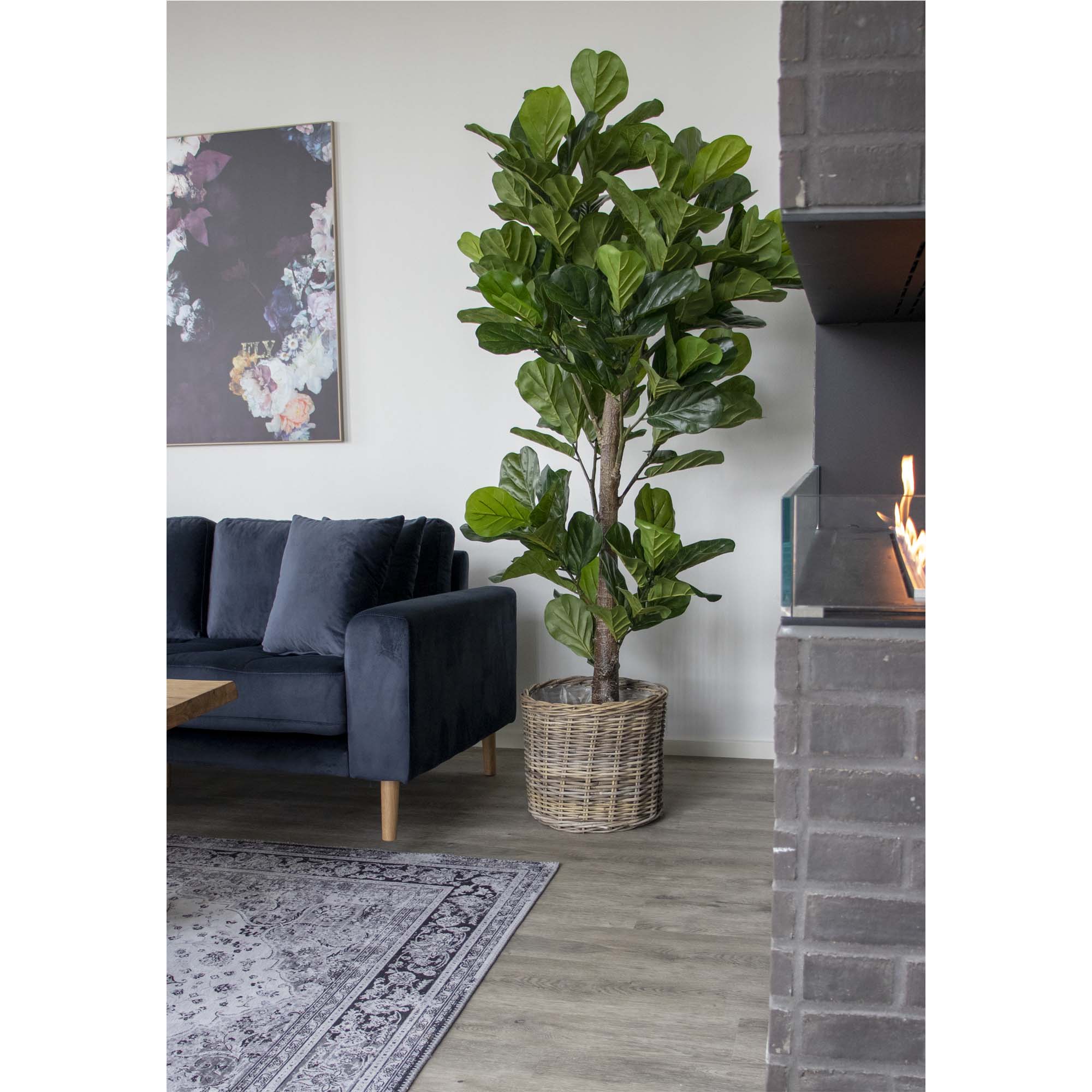 Fiddle Violinfigen, kunstig plante, grøn, H:190 cm - Billede 3