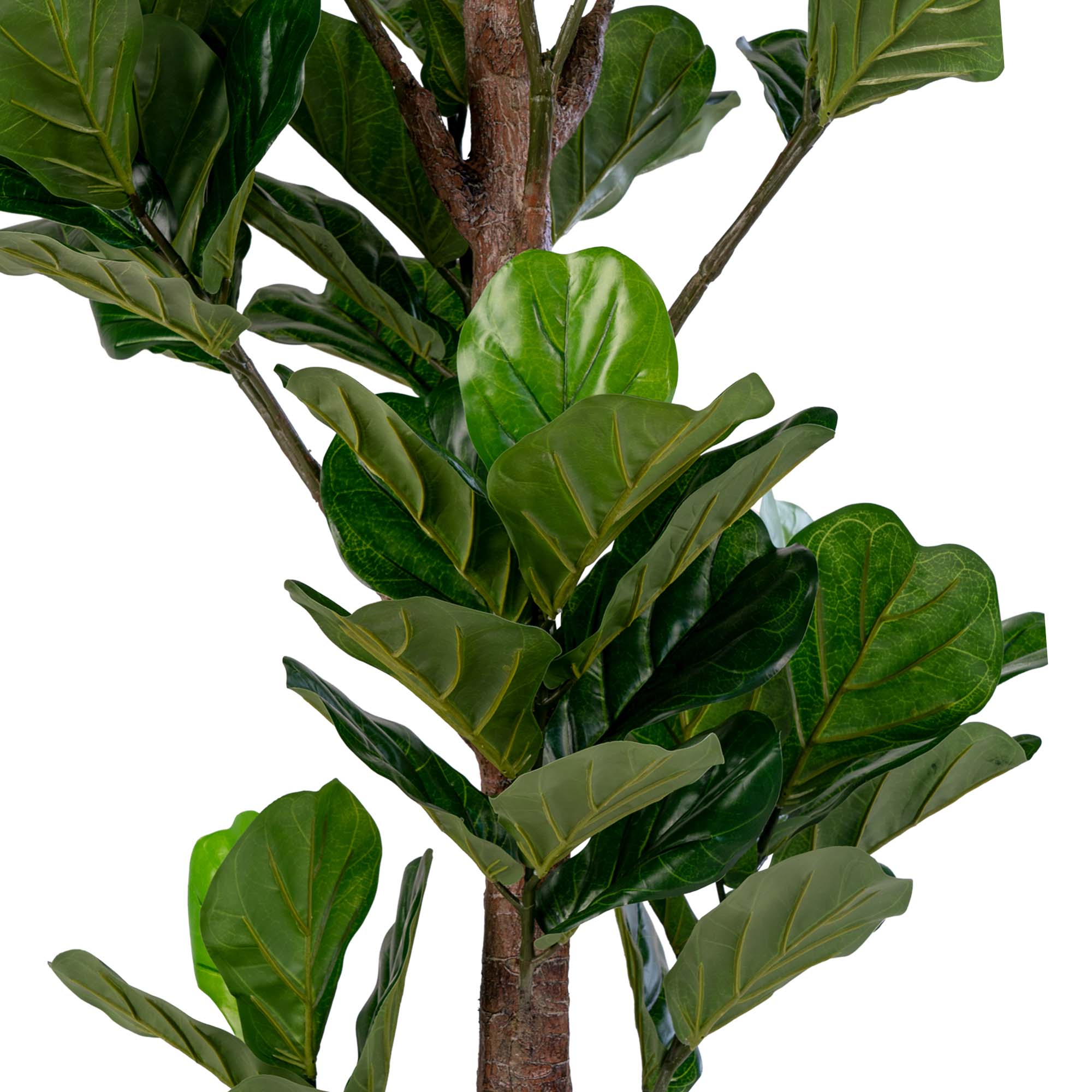 Fiddle Violinfigen, kunstig plante, grøn, H:190 cm - Billede 2