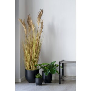 Sorghum Grass, kunstig plante, natur, H:110 cm - Billede 6