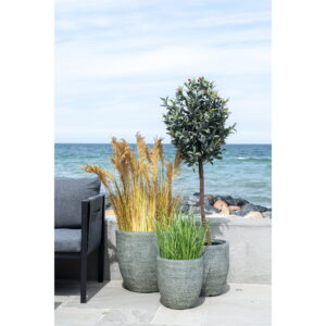 Sorghum Grass, kunstig plante, natur, H:110 cm - Billede 9