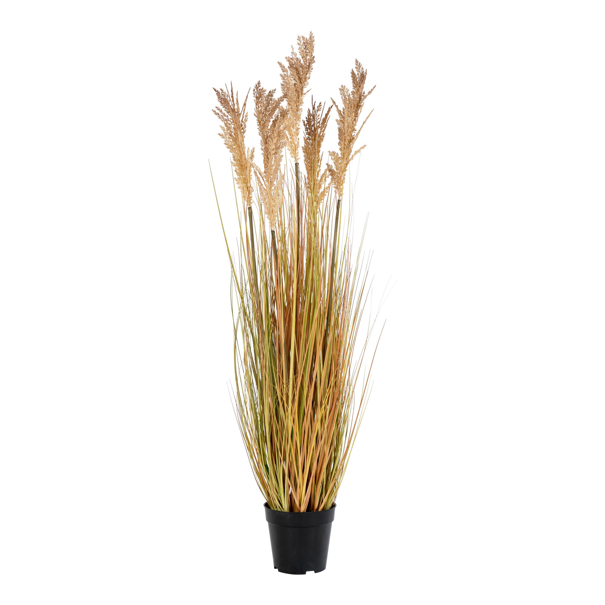 Sorghum Grass, kunstig plante, natur, H:110 cm