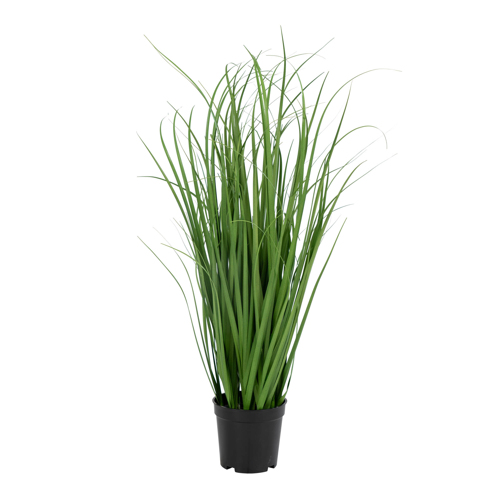 Poa Græs, kunstig poa græs, grøn, H:68 cm