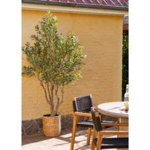 Oliventræ, kunstig plante, grøn, H:220 cm - Billede 3