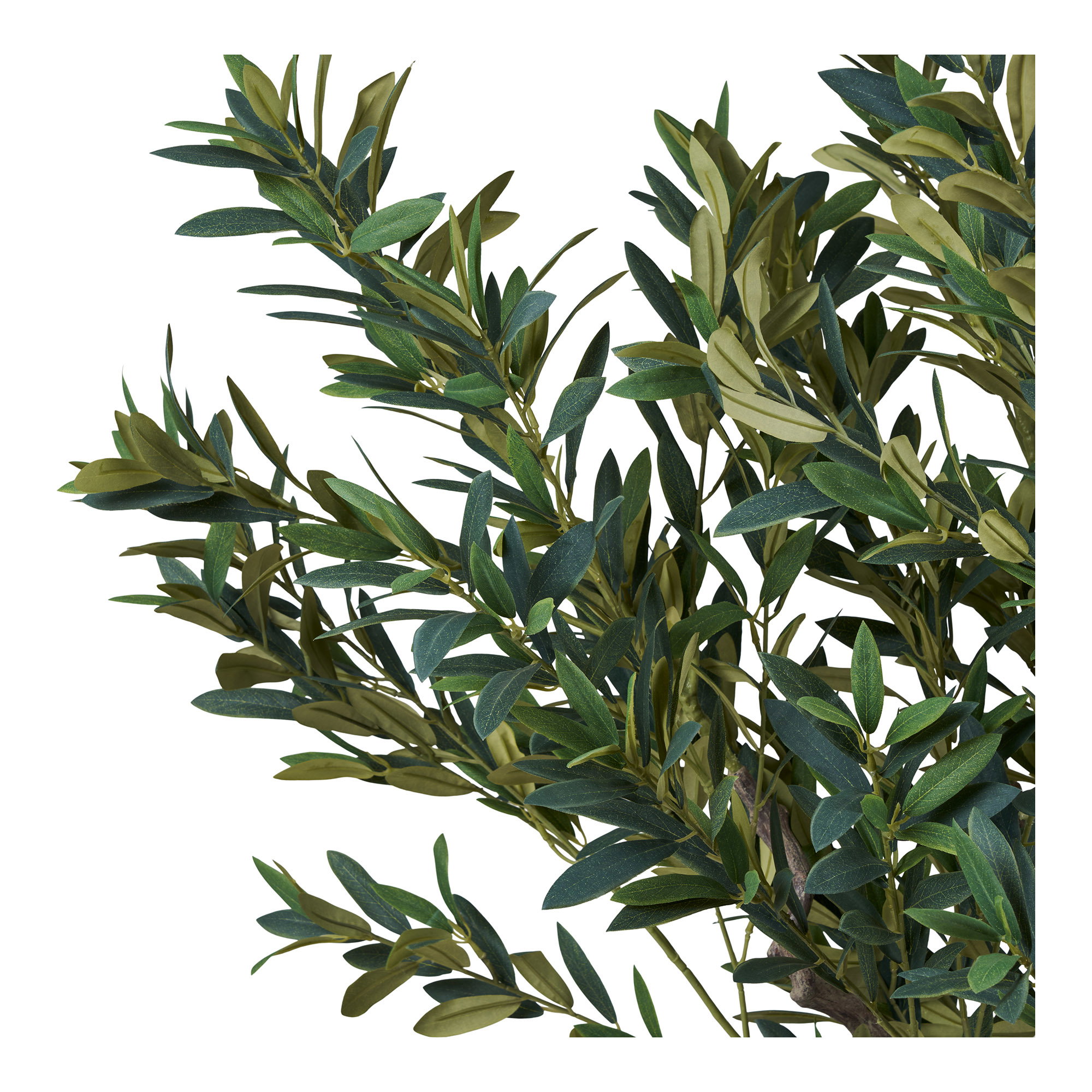 Oliventræ, kunstig plante, grøn, H:220 cm - Billede 2