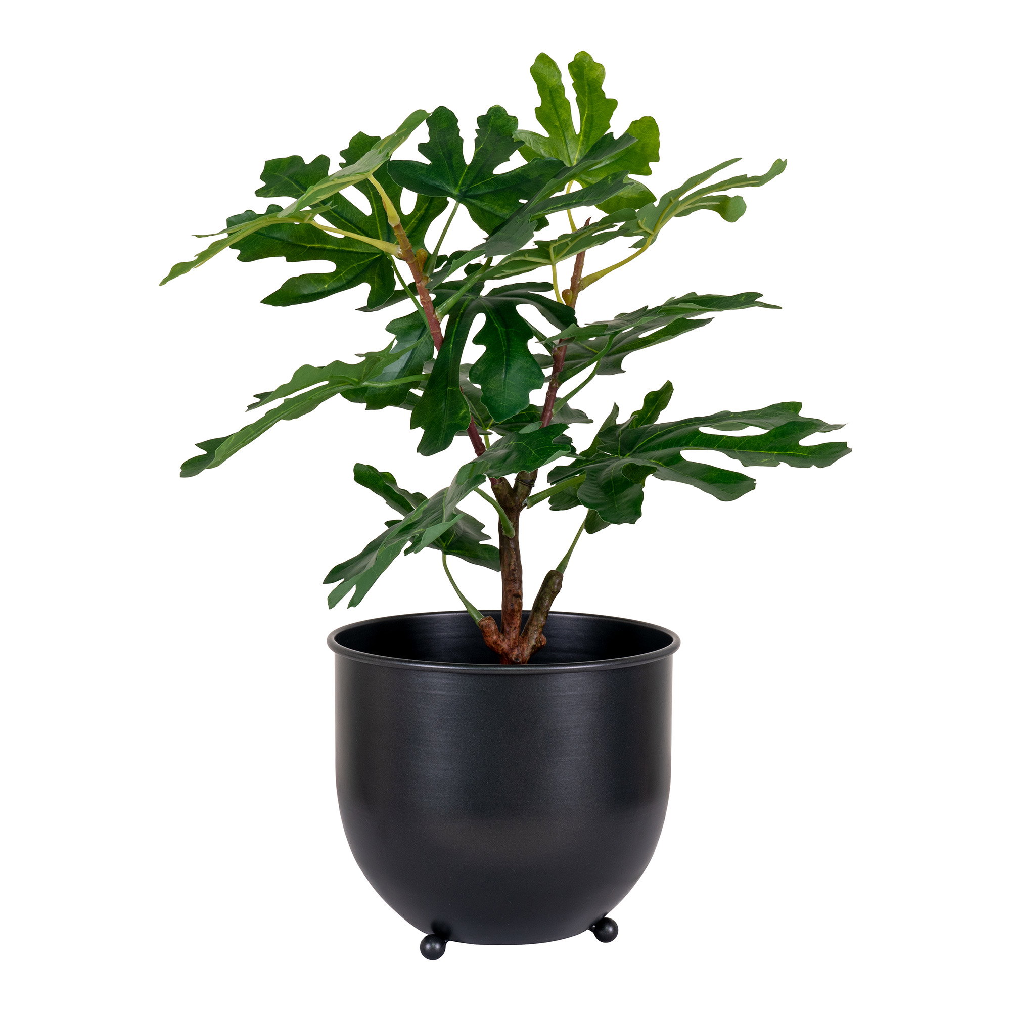 Figentræ, kunstig plante, grøn, H:60 cm - Billede 2