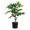 Figentræ, kunstig plante, grøn, H:60 cm