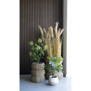 Figentræ, kunstig plante, grøn, H:60 cm - Billede 4