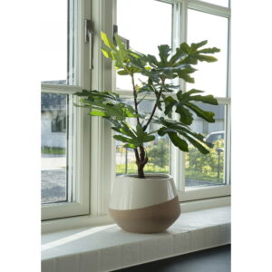 Figentræ, kunstig plante, grøn, H:60 cm - Billede 5