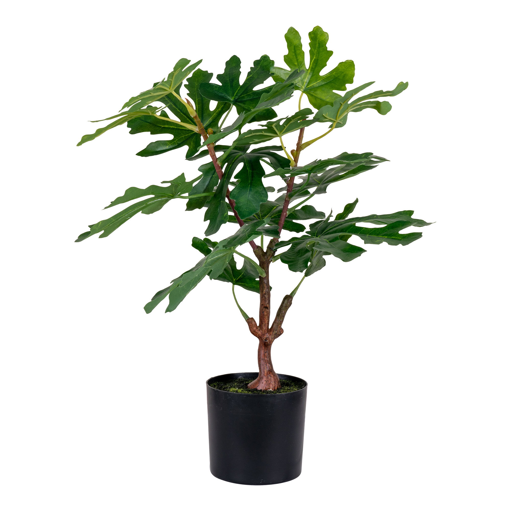 Figentræ, kunstig plante, grøn, H:60 cm