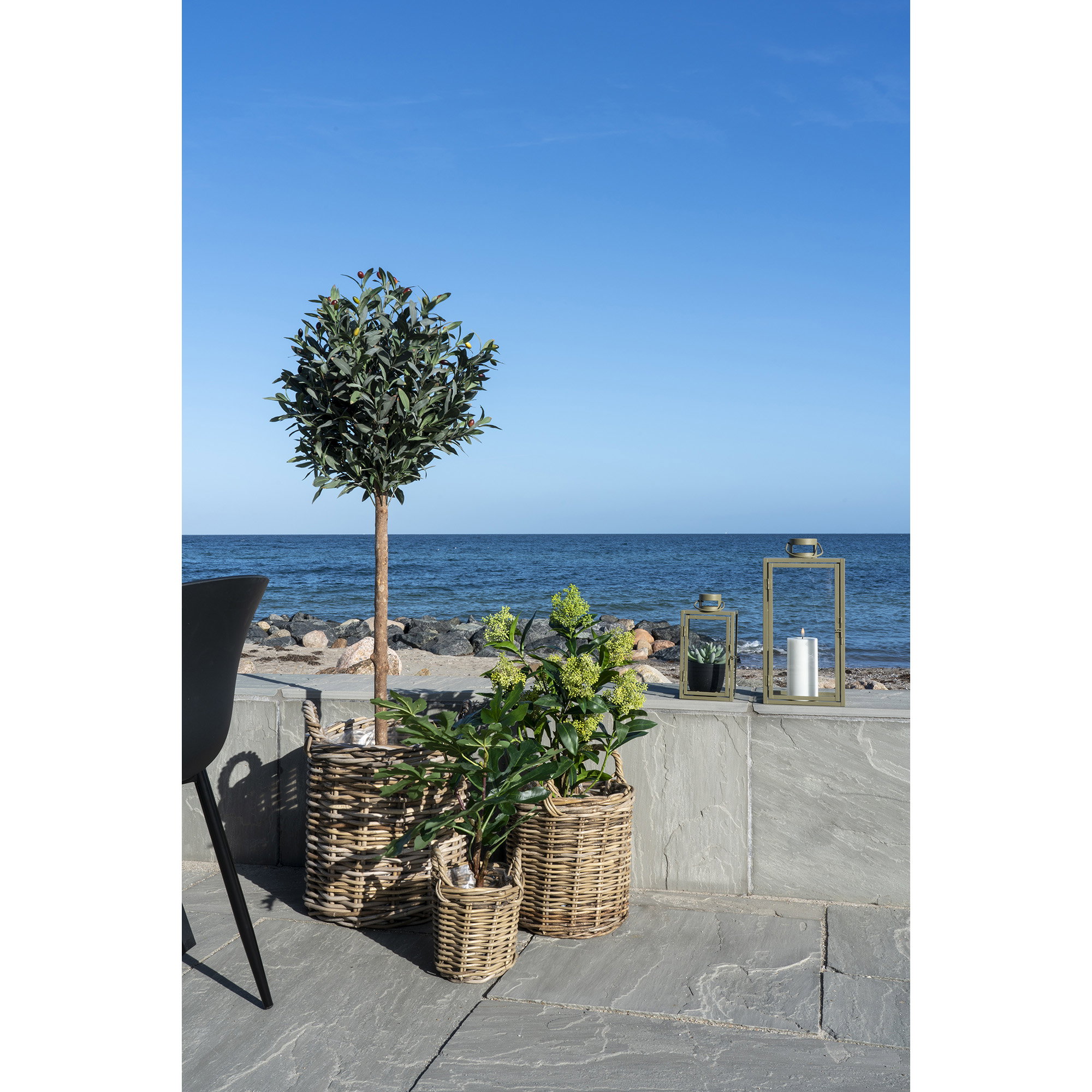 Skimmia Træ, kunstig plante, grøn, H:75 cm - Billede 5