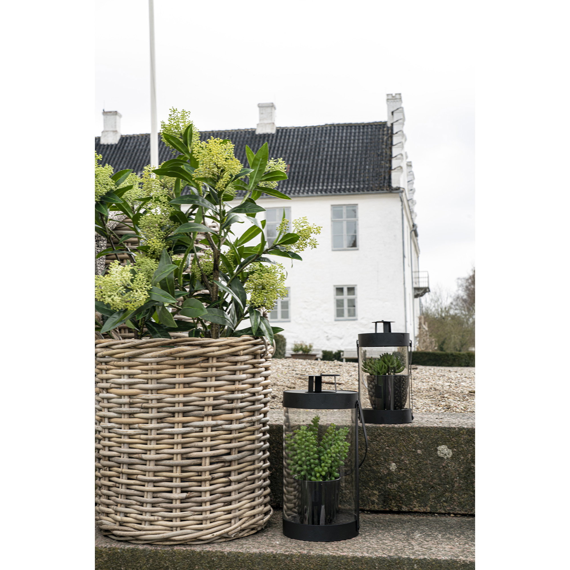 Skimmia Træ, kunstig plante, grøn, H:75 cm - Billede 8