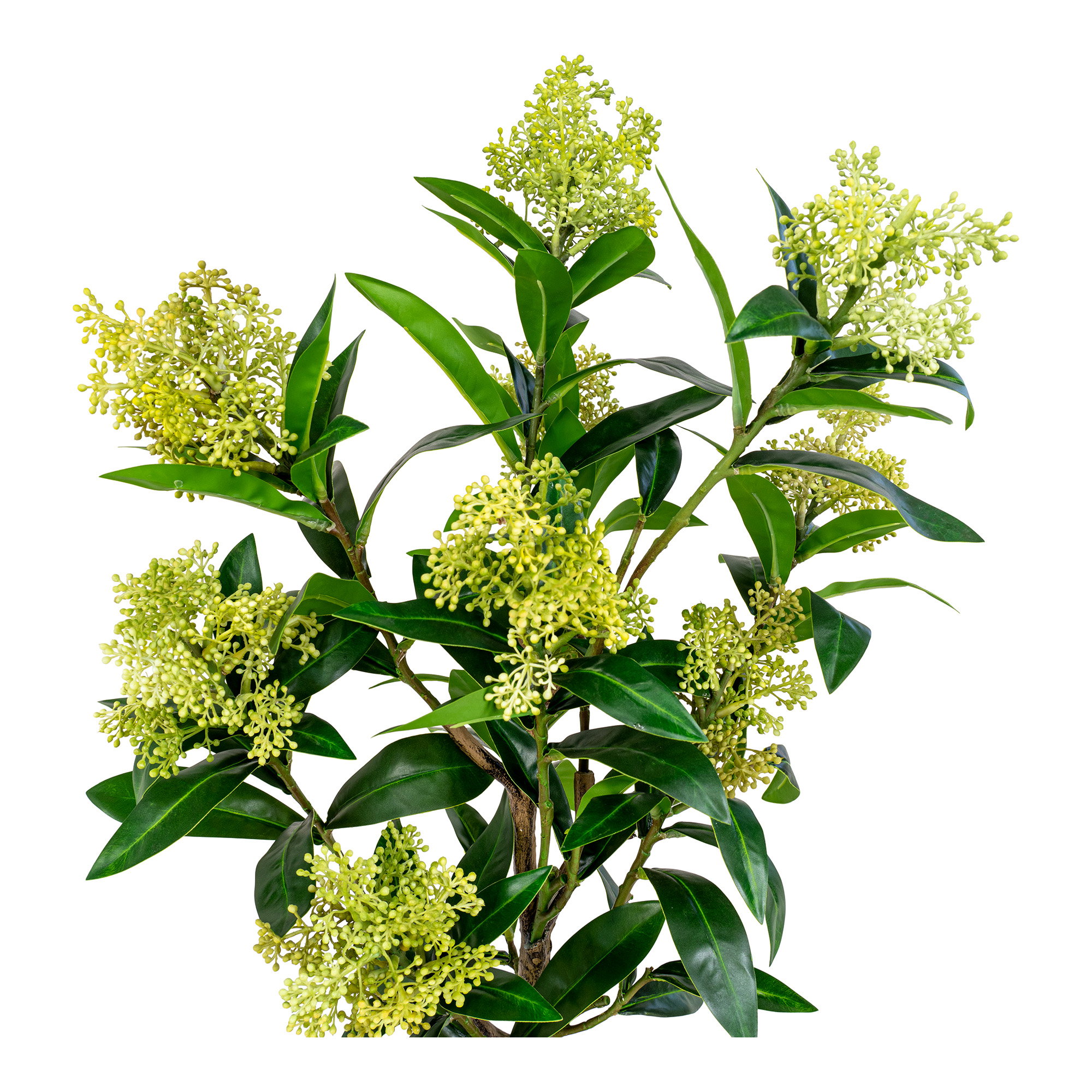 Skimmia Træ, kunstig plante, grøn, H:75 cm - Billede 3