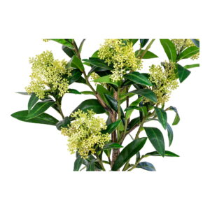 Skimmia Træ, kunstig plante, grøn, H:75 cm - Billede 4