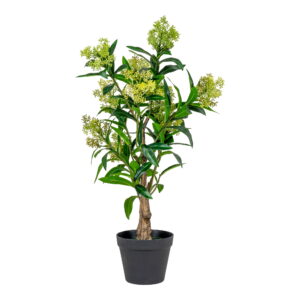 Skimmia Træ, kunstig plante, grøn, H:75 cm