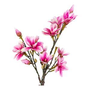 Alternative view of Magnoliatræ, kunstig plante, rosa, H:75 cm