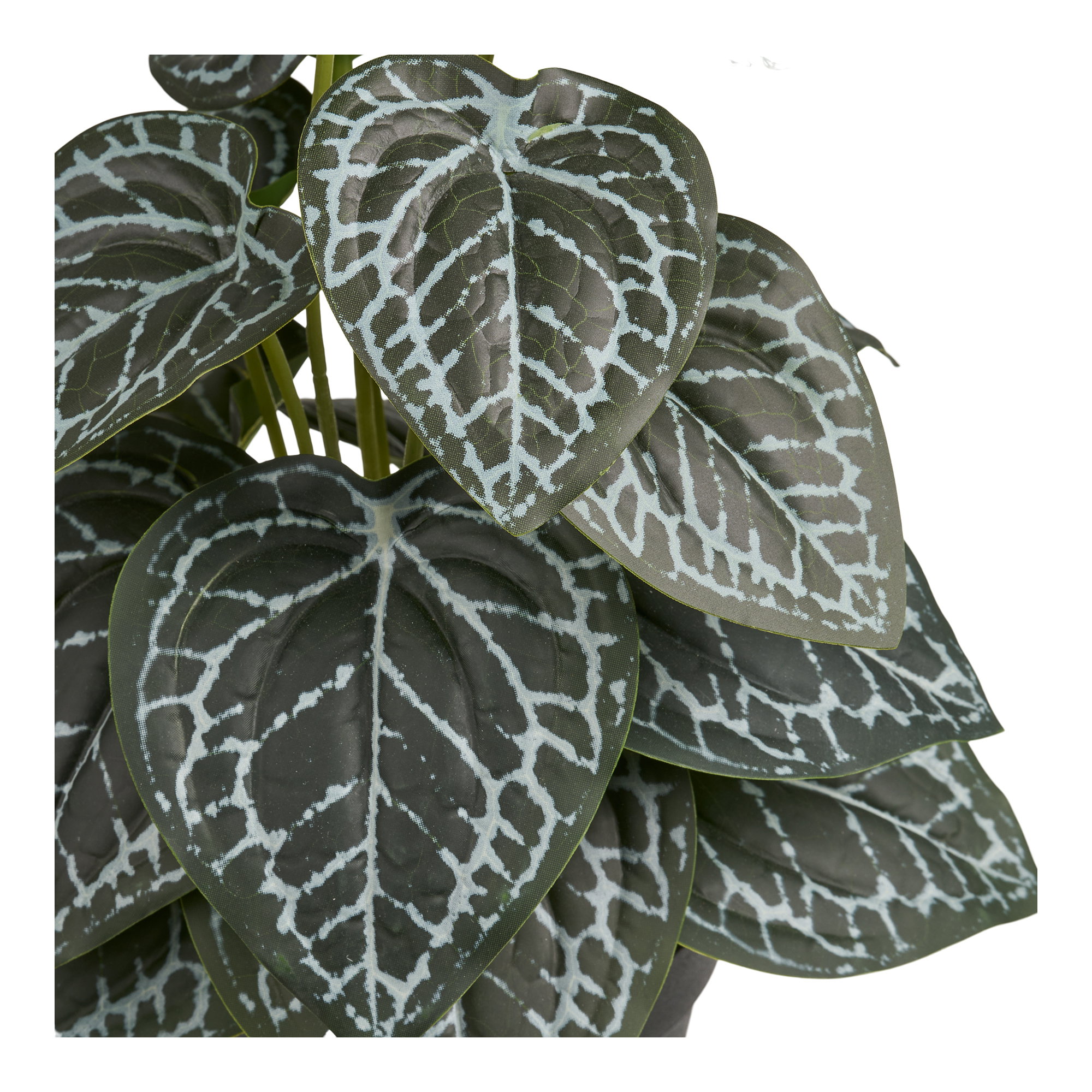 Kunstig Plante, grøn, H:33 cm - Billede 2