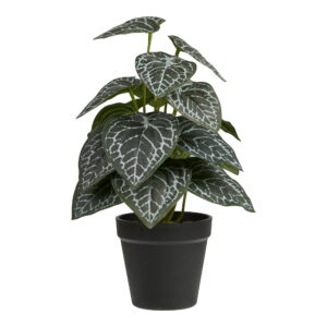 Kunstig Plante, grøn, H:33 cm