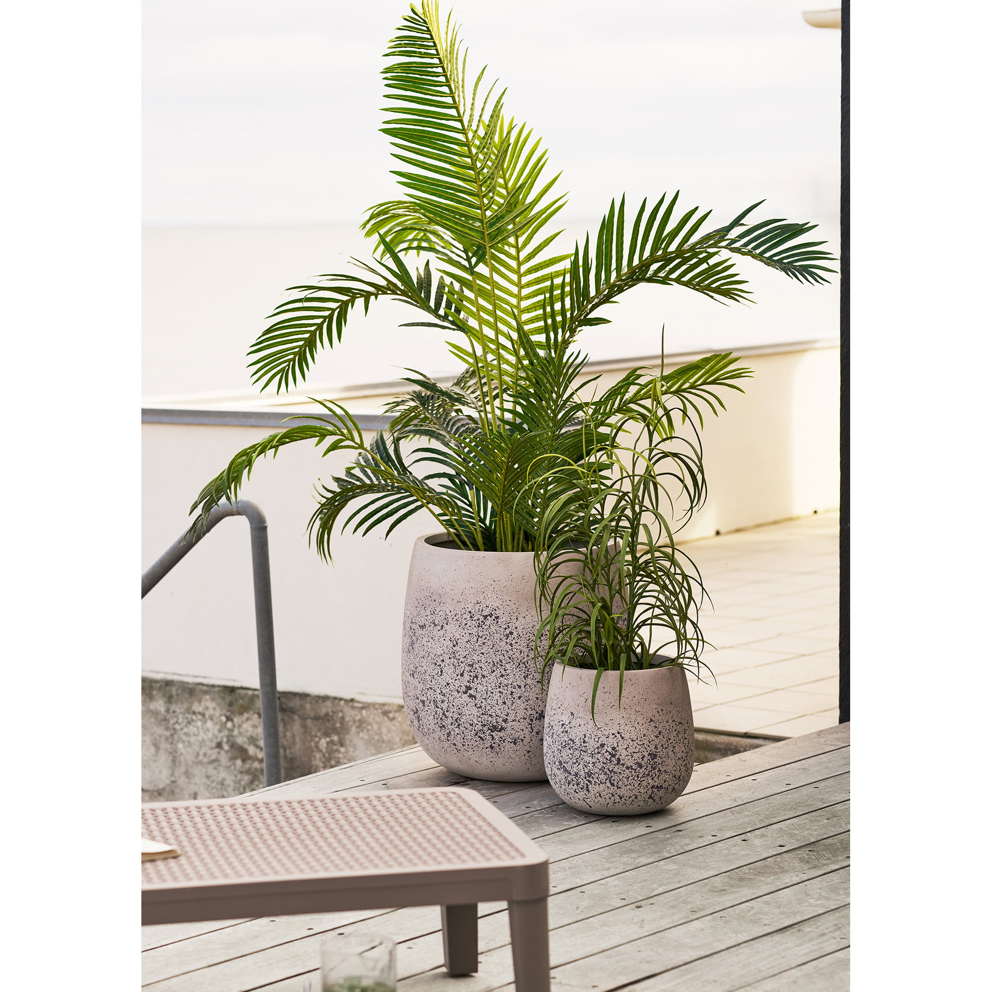 Græs Plante, grøn, H:68 cm - Billede 4