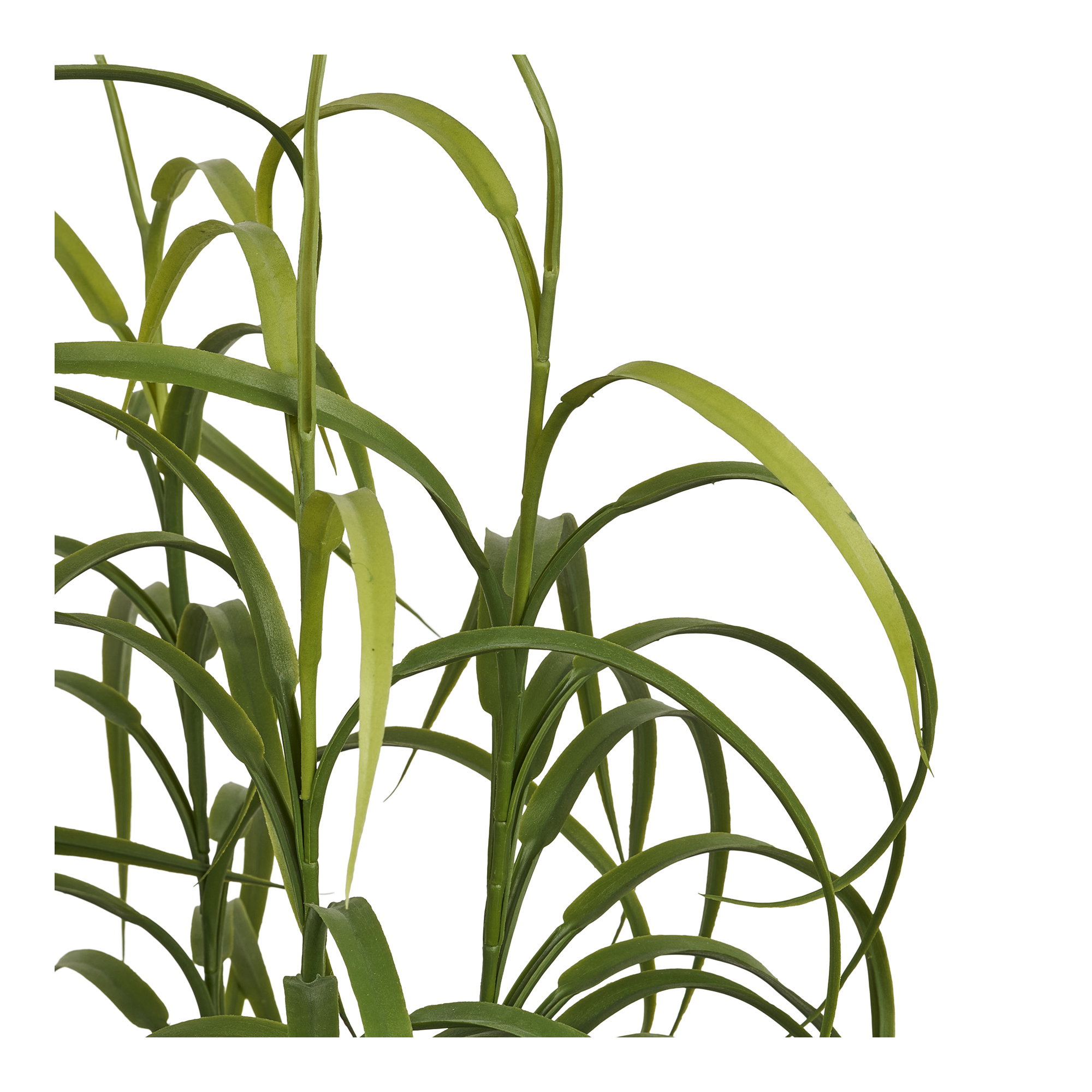 Græs Plante, grøn, H:68 cm - Billede 2