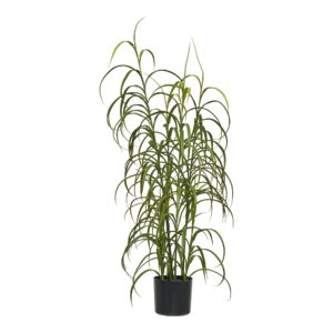 Græs Plante, grøn, H:68 cm