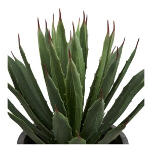 Alternative view of Agave Kunstig Plante med potte, grøn/grå, H:41 cm