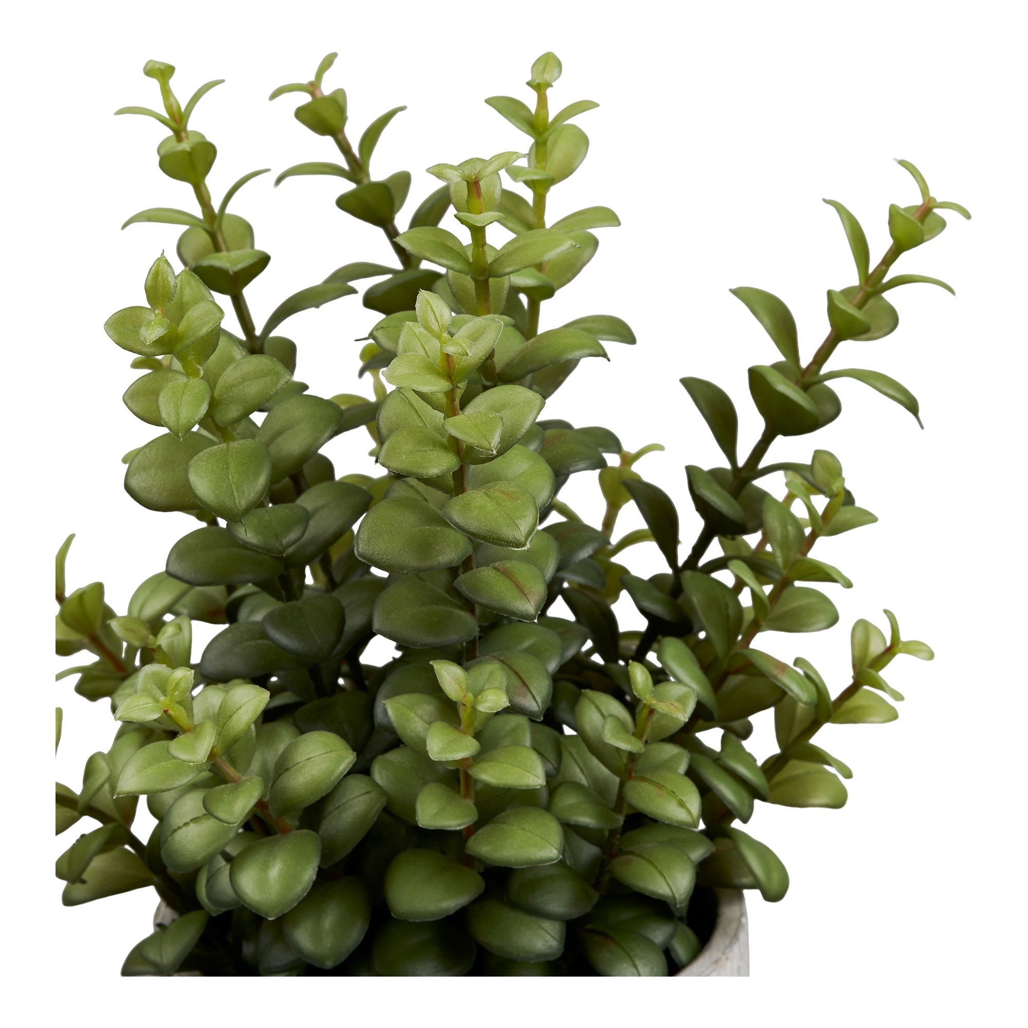 Succulent Kunstig Plante med cement potte, grøn/grå,, H:33 - Billede 2