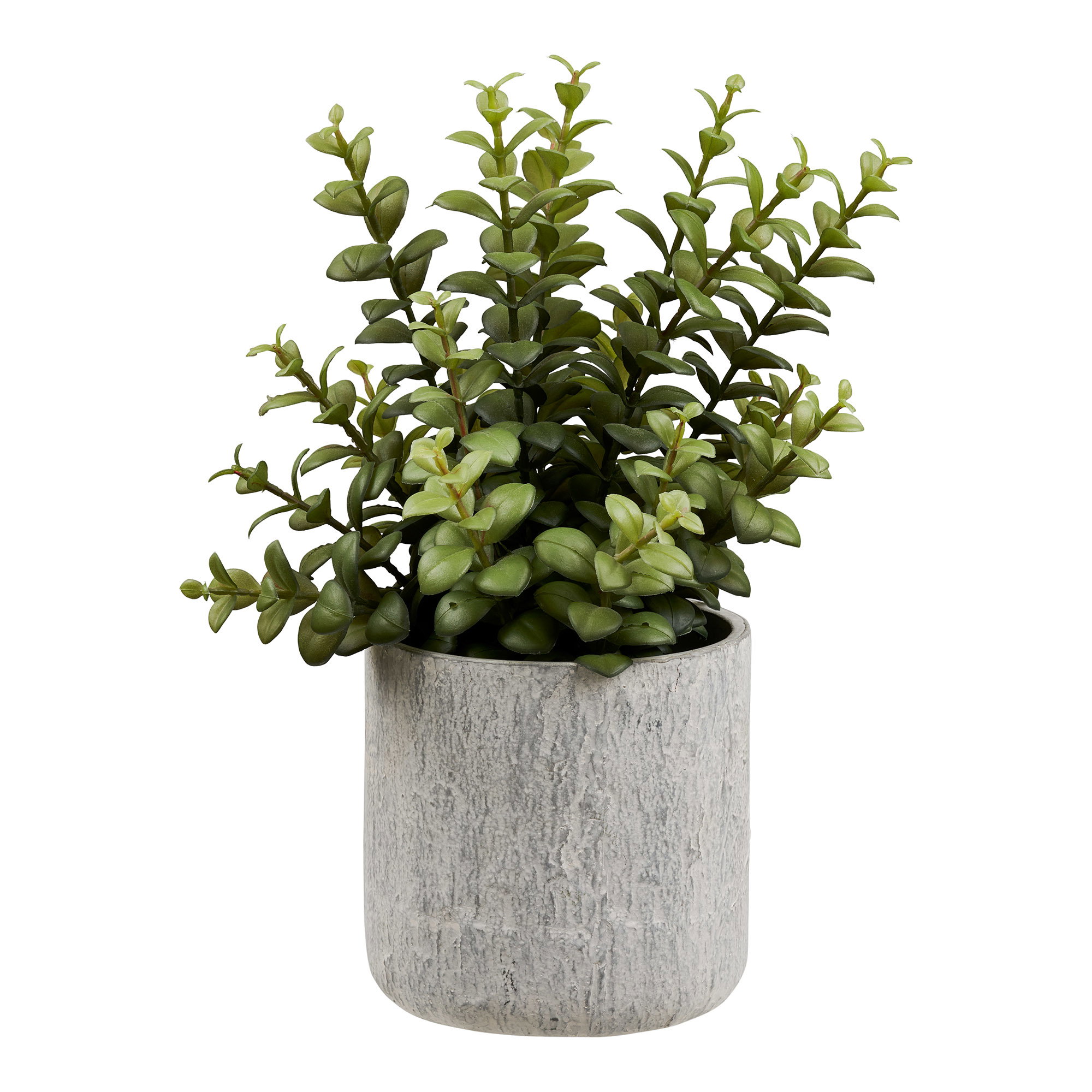 Succulent Kunstig Plante med cement potte, grøn/grå,, H:33