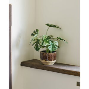 Monstera, kunstig plante, grøn, H:43 cm - Billede 3